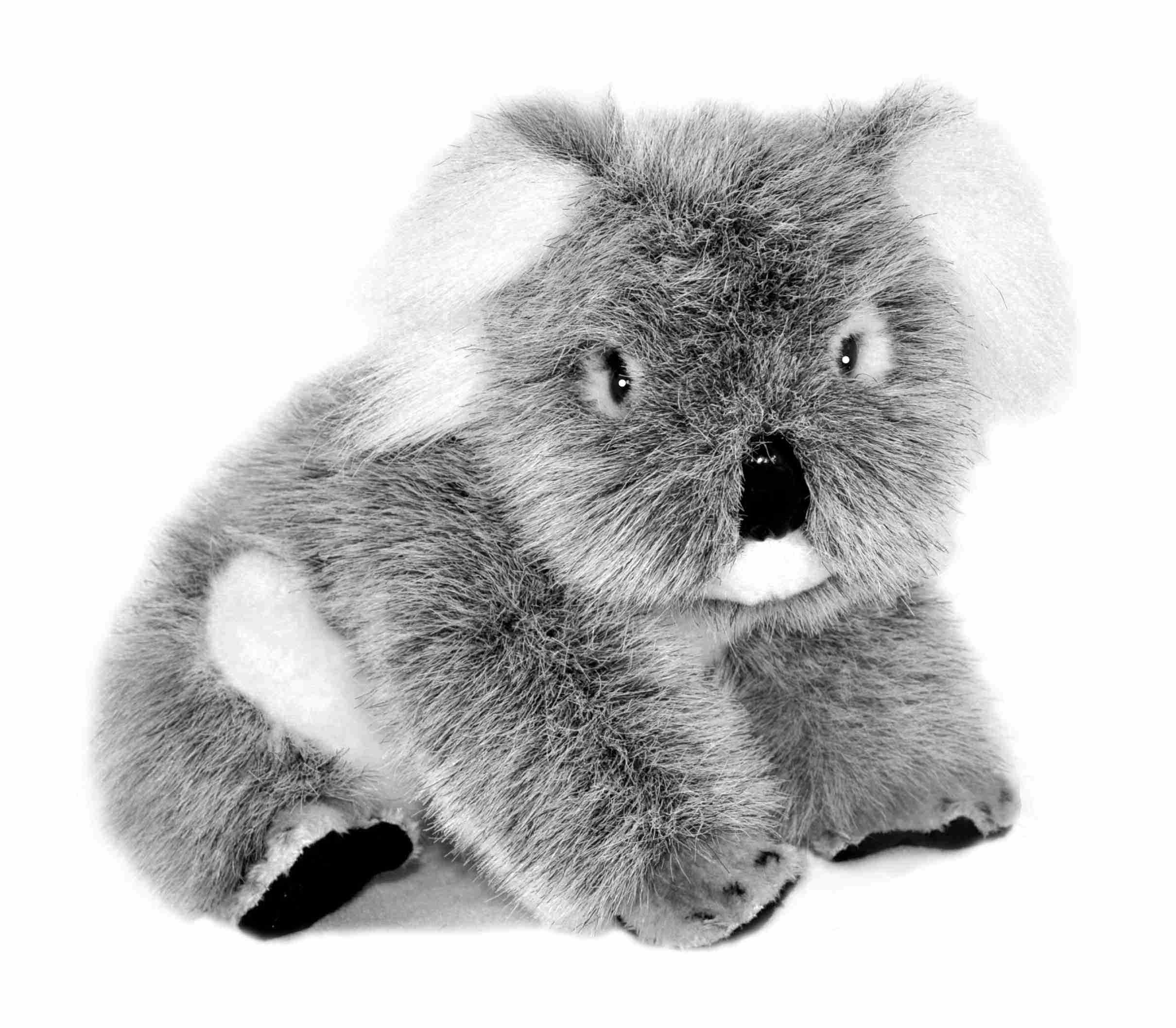Sugar the Koala plush soft toy, Australian cuddly Koala Bear stuffed