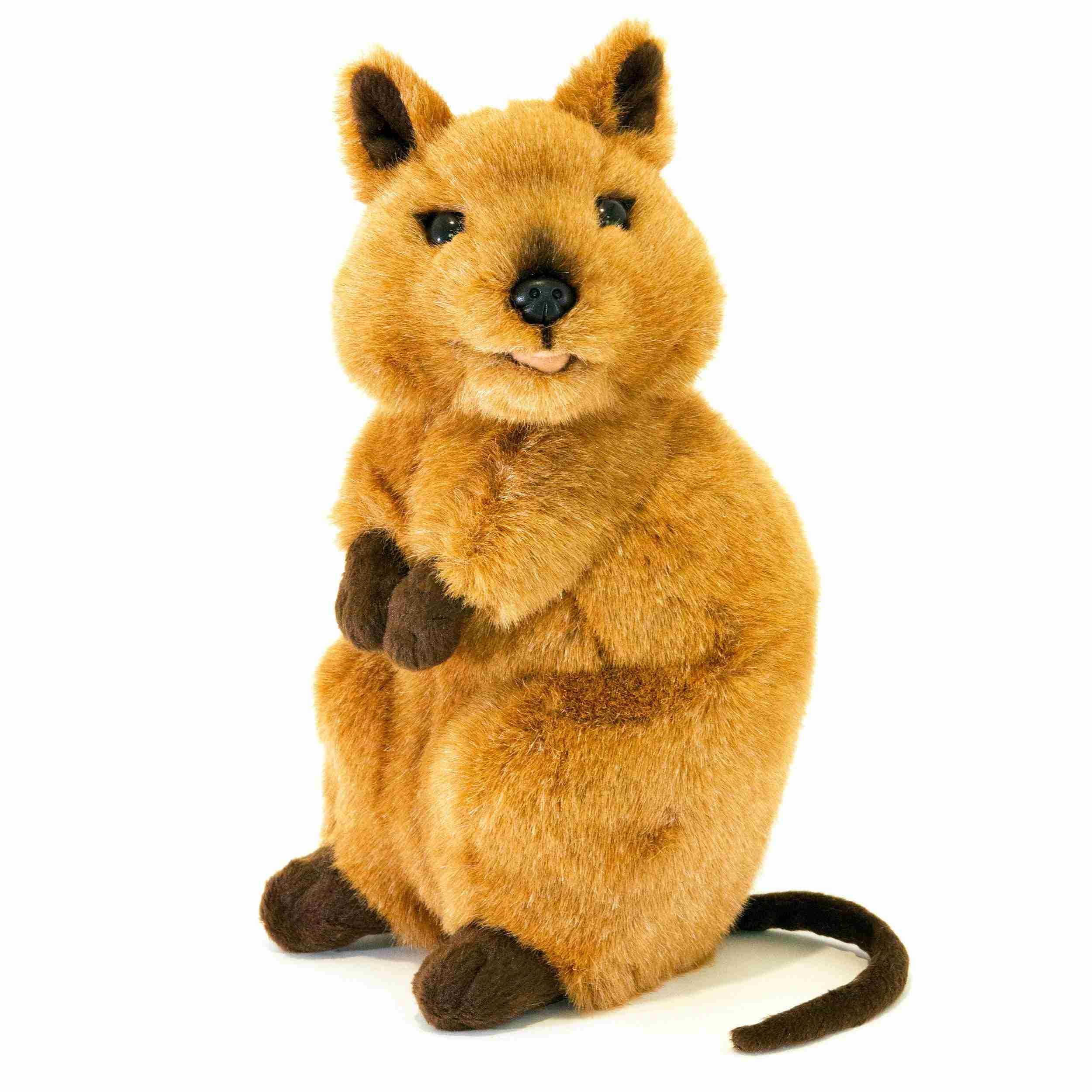 Roger the quokka plush soft toy, Australian cuddly stuffed animal by